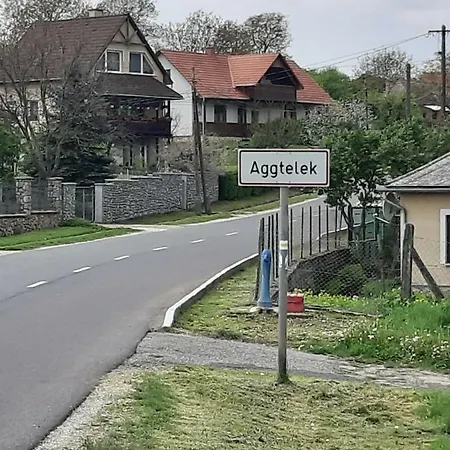 Ferienhaus Vadvirag Vendeghaz *