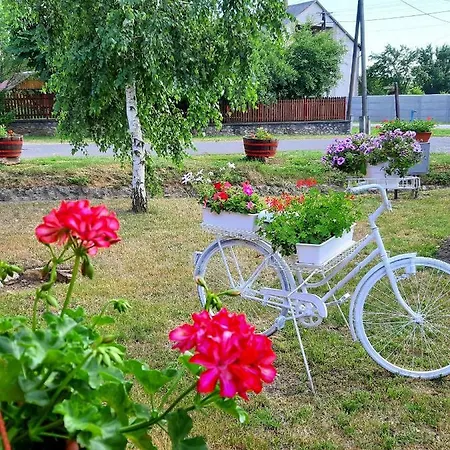 Vadvirag Vendeghaz Ferienhaus