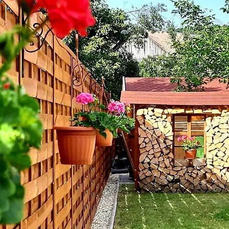 Ferienhaus Vadvirag Vendeghaz Aggtelek