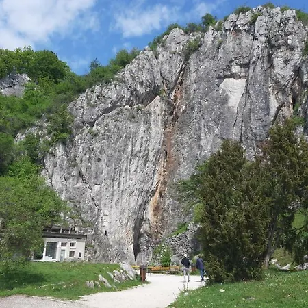 Ferienhaus Vadvirag Vendeghaz *