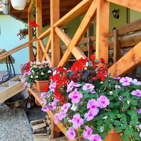 Ferienhaus Vadvirag Vendeghaz Aggtelek